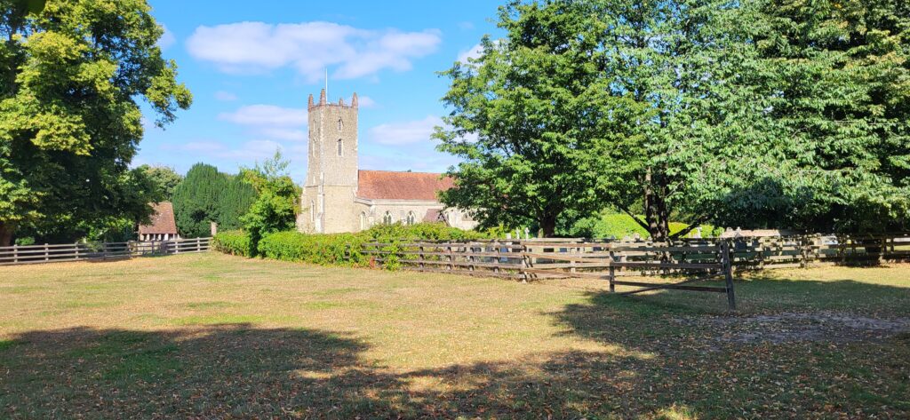 Essex Dog-Friendly Walks