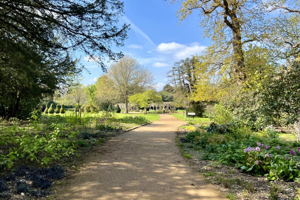 Essex Dog-Friendly Walks 1 essex dog friendly walks